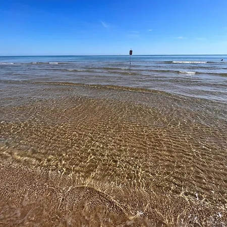 Theo's House Apartament