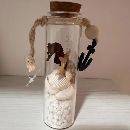 Theo's House * 锡尔维玛丽娜