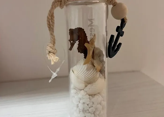 Apartamento Theo's House *